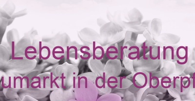 Lebensberatung Neumarkt in der Oberpfalz | Top-Experten für Kartenlegen, Wahrsagen, Hellsehen, Zukunftsdeutung.